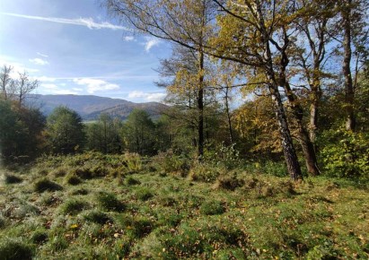 działka na sprzedaż - Brenna