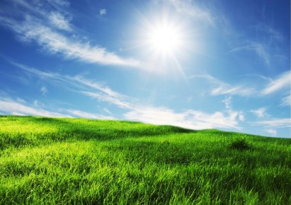 działka na sprzedaż - Rybnik, Kamień pod Rzędówką