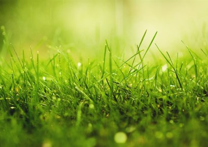 działka na sprzedaż - Rybnik, Kamień pod Rzędówką