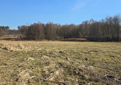 działka na sprzedaż - Rybnik, Kamień pod Rzędówką