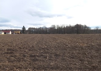 działka na sprzedaż - Pawłowice, Pielgrzymowice