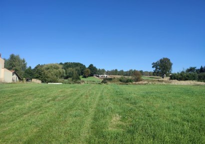 działka na sprzedaż - Żory, Rój
