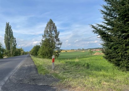 działka na sprzedaż - Hażlach, Rudnik