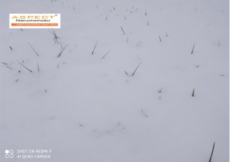 działka na sprzedaż - Rzeszów, Zalesie