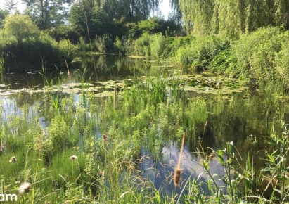 działka na sprzedaż - Iwierzyce, Wiśniowa